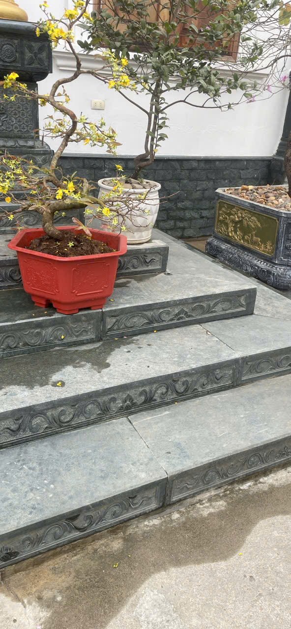 Phù đêu bậc cấp đế tảng