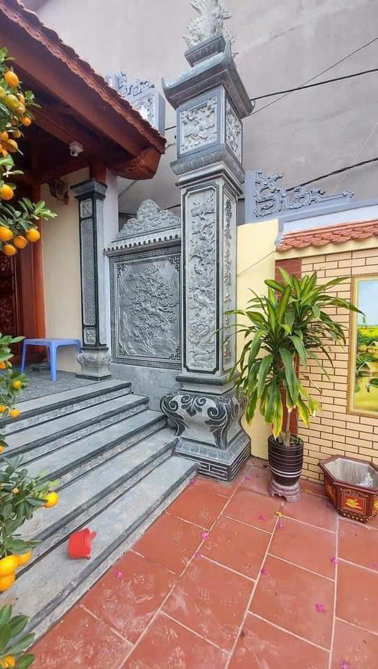 Mẫu 17